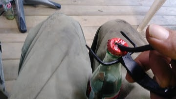 Scorpion bottle opener