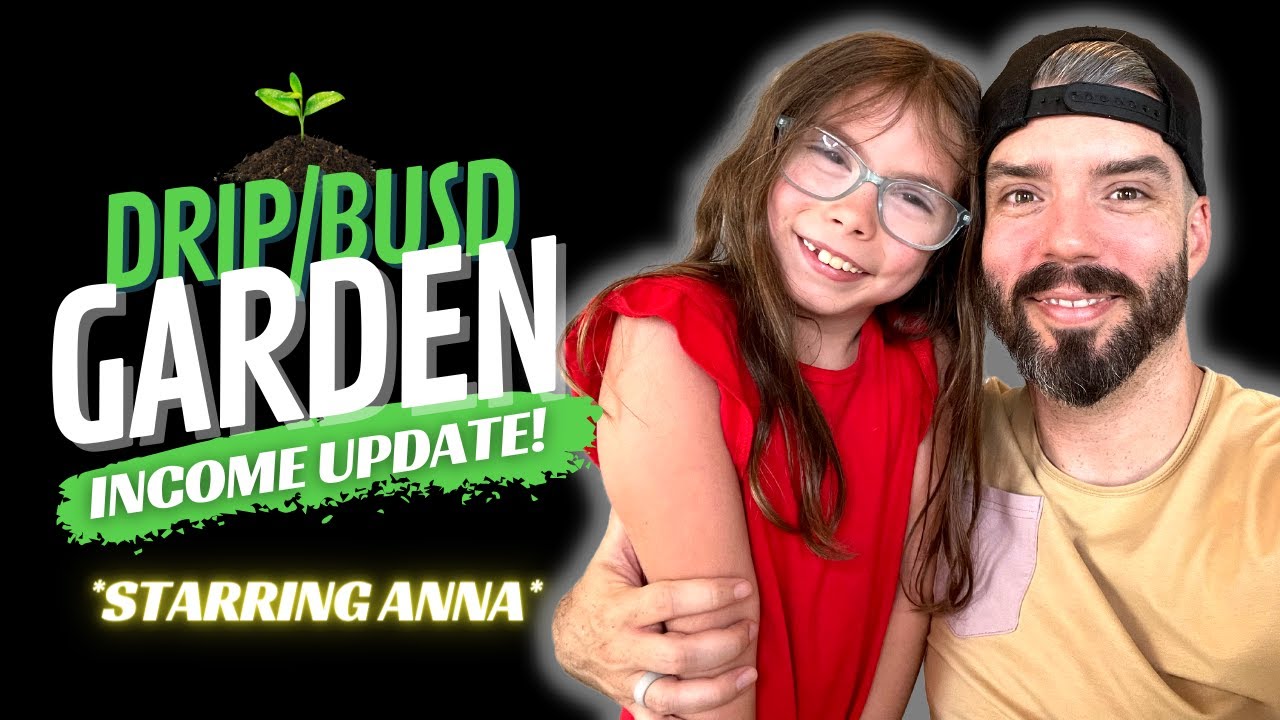 Drip BUSD Garden Update Up to 3 Daily Defi Crypto Passive