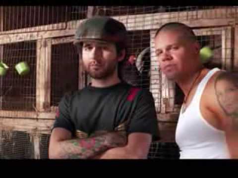 QUE LLOREN CALLE 13 www lamalapalabra tk