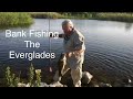 Bank fishing the Everglades