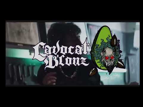 L Avocat B Louz Ri7t Stork Official Music Video