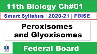 Peroxisomes and Glyoxysomes Class 11 Biology Federal Board, Ilmi Stars Academy