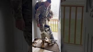 Heartbreaking Goodbye A Soldier And His Husky