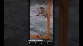 NO MORE AI GOD