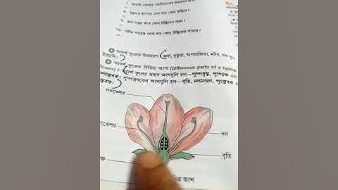 সপ্তম শ্রেণি,  বিষয় :  জীবনবিজ্ঞান, ( “উদ্ভিদের ফুল”),  শিক্ষক : নারায়ণ চন্দ্র সাহা  (NS)