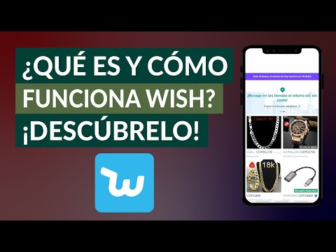 ¿Qué es y Cómo Funciona Wish? La App de Compra Online