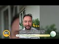 Jak odstraszyć gołębie? Skuteczny sposób | DDTVN