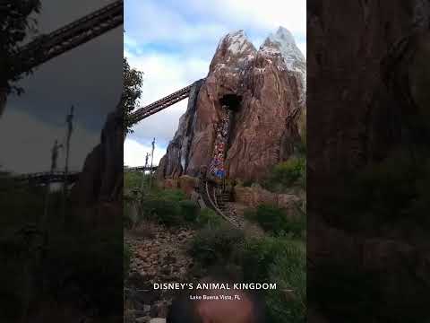 ديزني لاند في فلوريدا