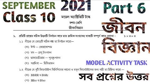 MODEL ACTIVITY TASK CLASS 10 LIFE SCIENCE PART 6 SEPTEMBER 2021