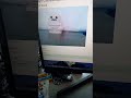 Raspberry Pi Docker TFLite PiCamera2 Demo