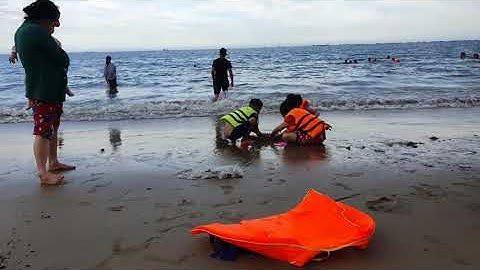 BÃI TẮM BIỂN BÌNH SƠN NINH CHỮ TỈNH NINH THUẬN p2