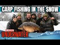  underwater carp fishing in the snow   ali hamidi  one more cast