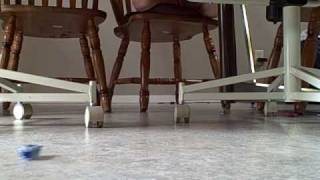 VID00006.AVI