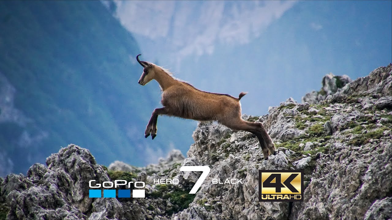 Rifugio Denza dal Passo Pozzi Alti