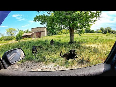 Video: Laiškas tai (siaubingai) Abraomo Linkolno bronzinė statula