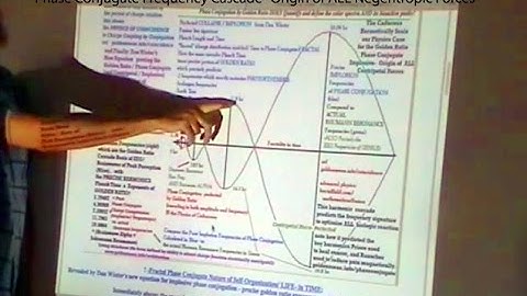 Conjugate Fractal Time & Space:Cause of Gravity, Negentropy & Perception