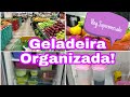 Como organizo a geladeira | Vlog. Compras, higienização e dicas!