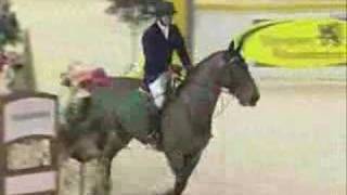 Whenever, Wherever- Equestrain