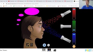 Physical Science Unit 6 Color Addition with Simulator