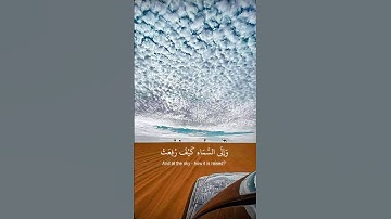 أَفَلَا يَنظُرُونَ إِلَى الْإِبِلِ كَيْفَ خُلِقَتْ | #quran #قرآن #تلاوة_خاشعة #عبدالباسط_عبدالصمد