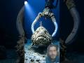 दुनिया की सबसे जहरीली मछली 🤔 #facts #stonefish#interestingfacts #information #factsinhindi