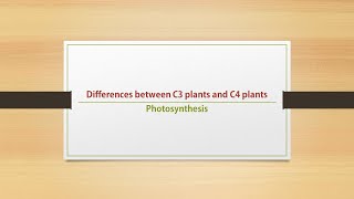 13 # Differences between C3 plants and C4 plants