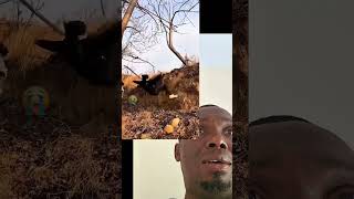One ĺFunniest Falls Ever Caught on Camera 😂💀”