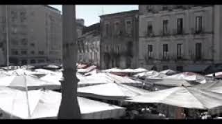 L'ELFO(SANGUE SICILIANO HO SANGUE CATANESE.