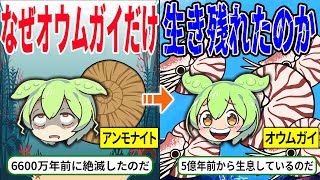 なぜアンモナイトだけ絶滅しオウムガイは生き残ったのか！？生き残った衝撃な理由とは【ずんだもん＆ゆっくり解説】