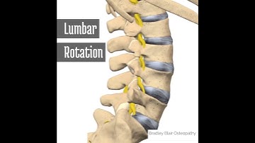 Lumbar Rotation