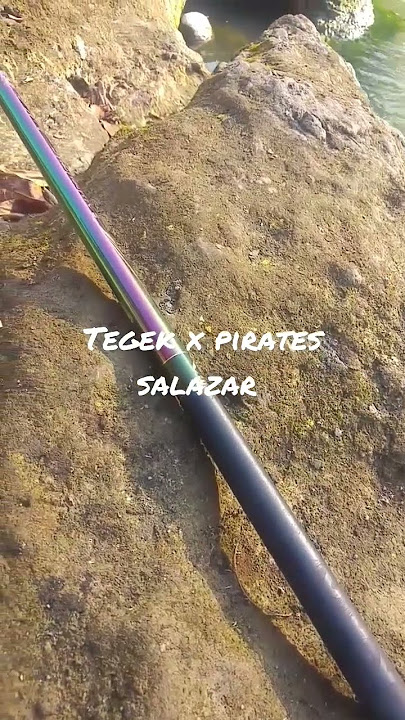 tegek x pirates salazar. recomended ringan kaku mantap