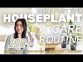 How i care for 100 houseplants part 3  plant chores  repotting  propagation  tips  routine