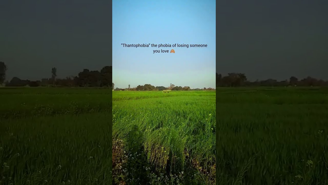 Thantophobia The Phobia Of Losing Someone You Love YouTube Thantophobia The Phobia Of Losing Someone You Love YouTube