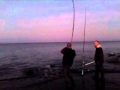 Антиас 15 кг в Акко рыбалка Израиль