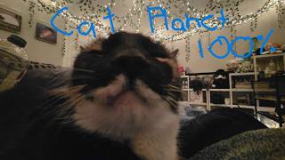 Cat Planet 100% By Icedcave