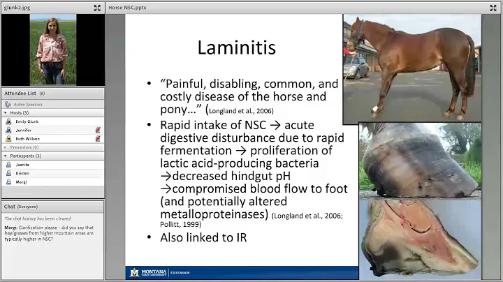 Non-Structural Carbohydrates in Horses and the Role of Forages