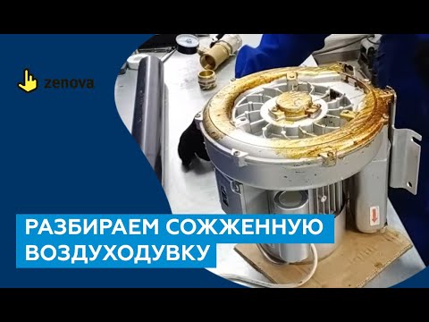 Что случилось с воздуходувкой Zenova RB после попытки ее сжечь: труп или еще поработает?