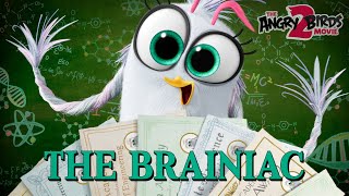 The Angry Birds Movie 2 Movie Clip | Sup Sis