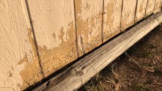 ABP Home Insights: Pressboard/Hardboard Siding and Maintaining Paint | Alpine Building Performance