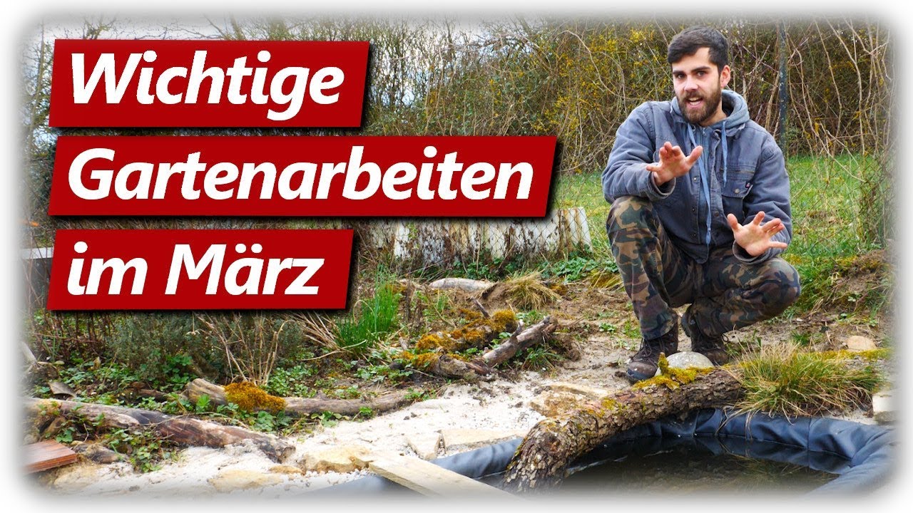 Gartenarbeit März Düngen, Aussaat, Teich, Obstbäume YouTube