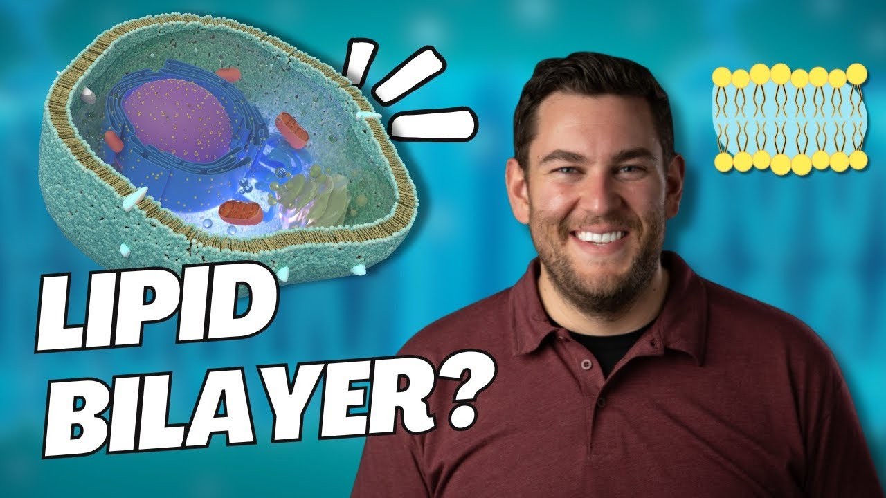 PEMT and connection to choline and glutathione!