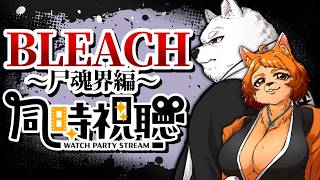 〖同時視聴〗BLEACH 41話～  観るよ！〖尸魂界編〗