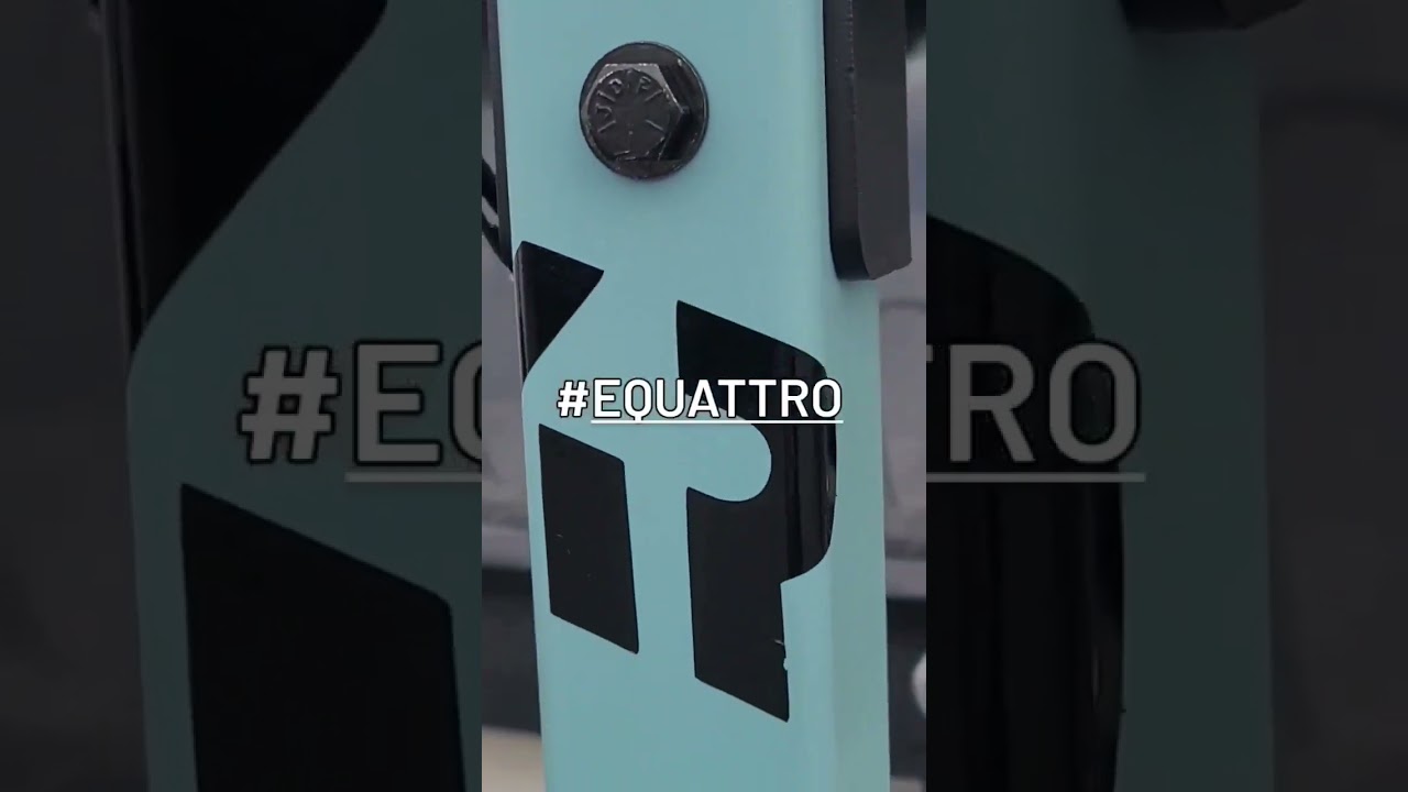 E-Quattro E-Bike Carrier