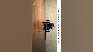 #meme #hexbug #hexbugnano