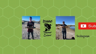 Idaho Trout Clout Live Stream
