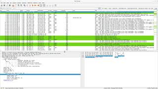 Wireshark: profiles