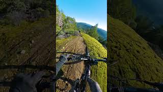 Views Like This Are Why Mtb Is Awesome!