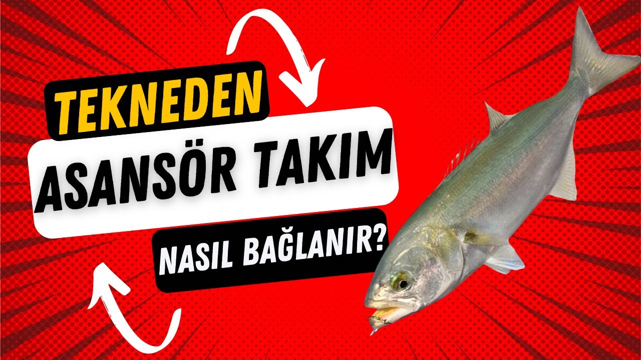 Lüfer İçin Tekneden Boncuklu Asansör Takım Nasıl Bağlanır? #asansör #olta #takımı #lüfer #çinekop