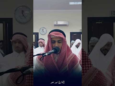 تلاوة نجديه من سورة النمل القارئ سيد سعد سيد سعد