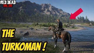 The Turkoman! Red Dead Online! [RDR2]